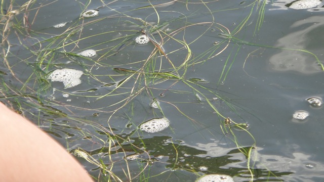 [DSC02355%255B1%255D.jpg]