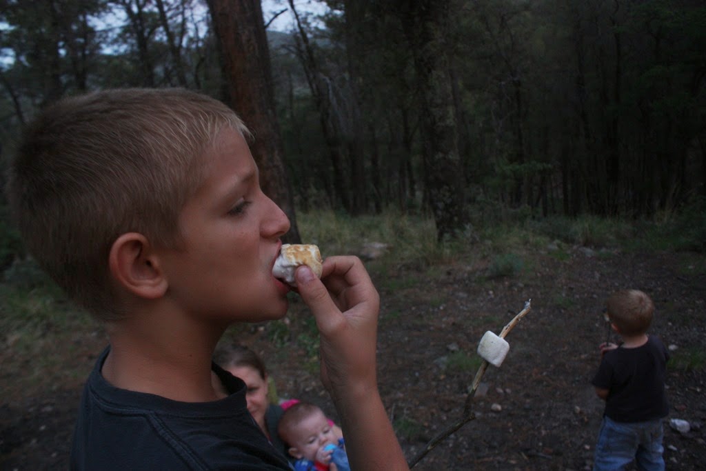 [bear%2520pics%2520mt%2520lemmon%2520clay%2520priesthood%2520202%255B4%255D.jpg]