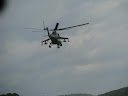 IMG_1113.jpg