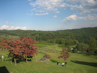 View from the back deck of Linden Vinyard.