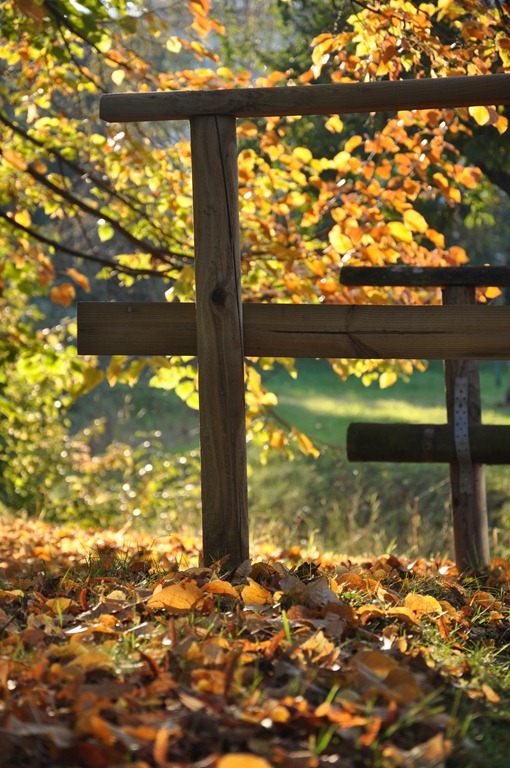 [DSC_1838%255B4%255D.jpg]