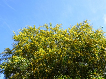 [P1010512%255B8%255D.jpg]