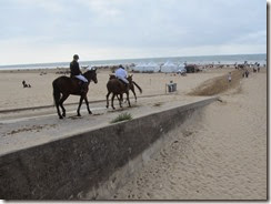 IMG_8539 IMG_8539