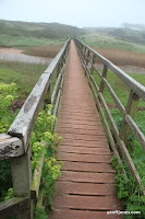 IMG_9340.JPG Photo