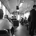 R0028160.JPG