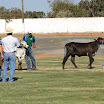 superleite2011_dia1507_129.JPG