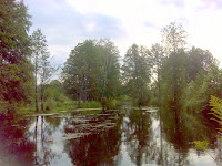 DSC04426.JPG Photo