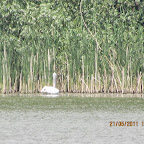 IMG_1306.JPG