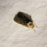 IMG_0173.JPG