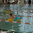 5th Grader 2012 127.JPG