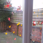 IMAG0165.jpg IMAG0165.jpg