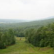 View album