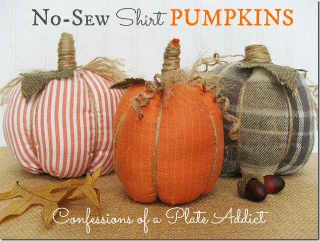 CONFESSIONS OF A PLATE ADDICT No-Sew Shirt Pumpkins CONFESSIONS OF A PLATE ADDICT No-Sew Shirt Pumpkins