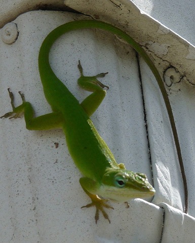 [P10103354.jpg]