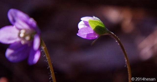 033 (640x333) 033 (640x333)