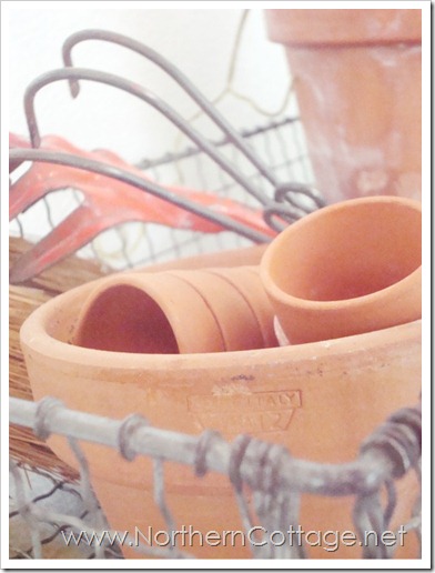 northern cottage garden pots