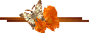 barrabutterflymarrom barrabutterflymarrom