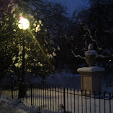 DSC00401.JPG
