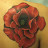mohn