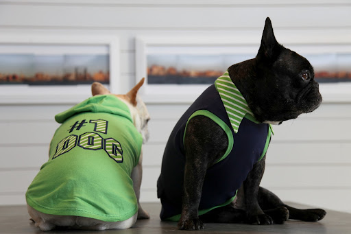 And this navy collar shirt is very comfortable, with its green rib-knit hem and armhole accents.   However, I think you and I need to find some adventure wear!
