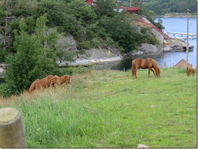 juli 2011 Sola og båtur 205