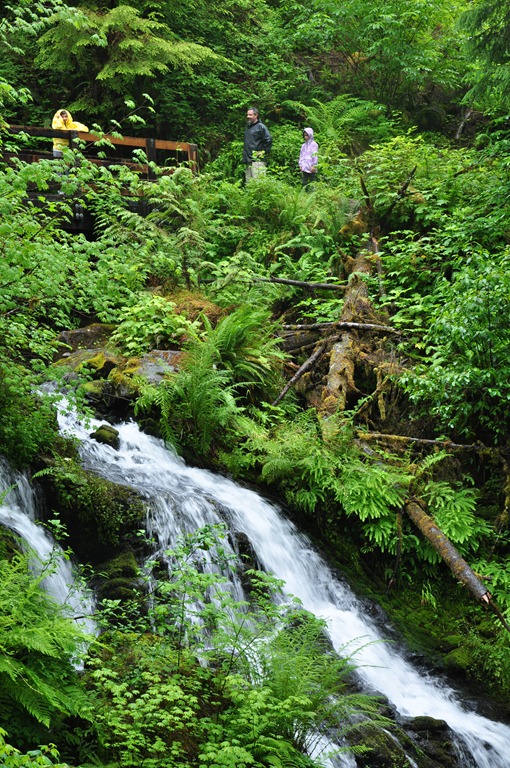 [Quinault-Rainforest-2012-06-30-0093.jpg]