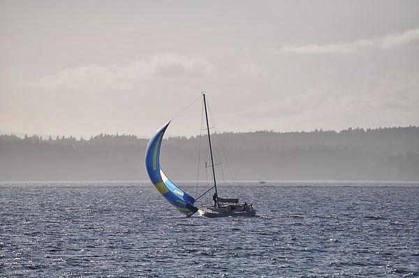 DSC_3438.JPG DSC_3438.JPG