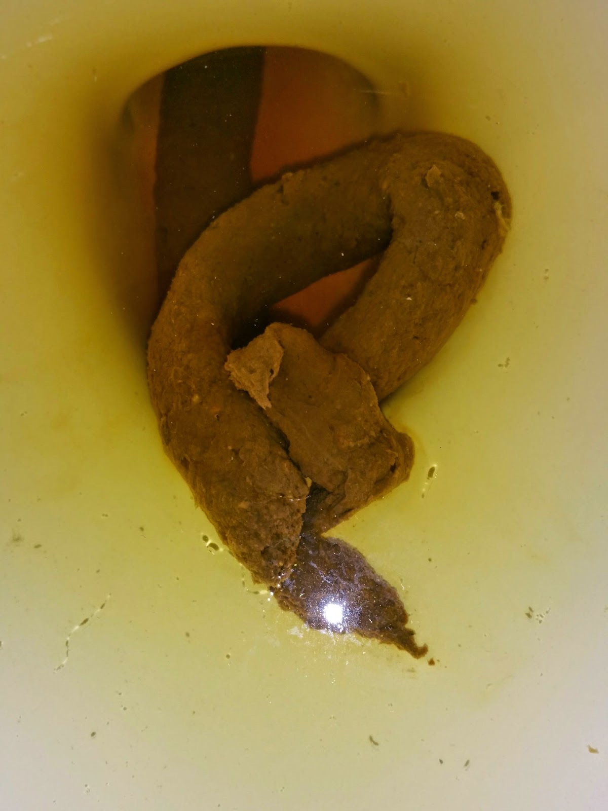 poo daily