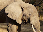 Manyara Nationalpark