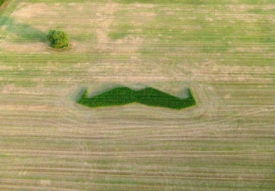 [viral-picdump-pics-30%255B2%255D.jpg]