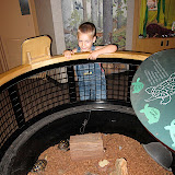 IMG_1821.JPG