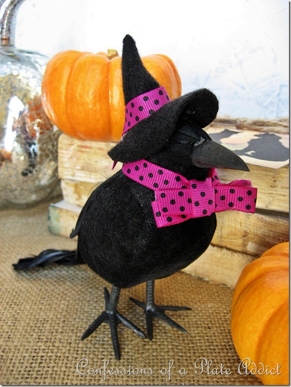 Purple Witchy Crow