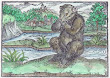 Woodcut 11 From The Prognostications Of Paracelsus