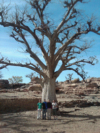 [clip_image008%255B3%255D.gif]