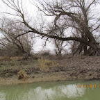 IMG_1501.JPG