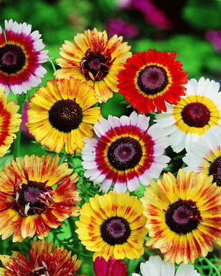 [image%255B87%255D.png]