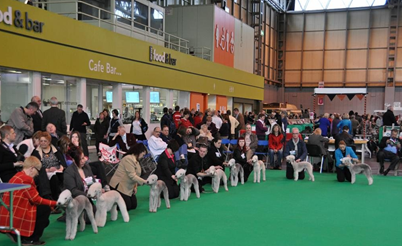crufts