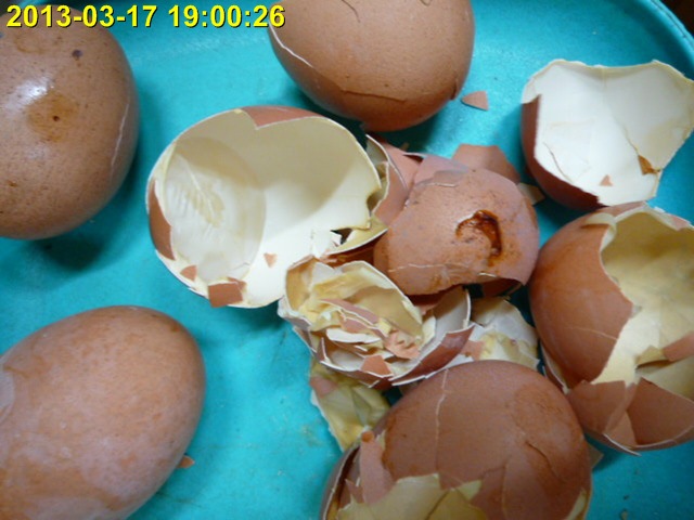 P1010271