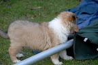 _DSC0047.JPG