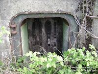 dsc06584.jpg