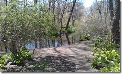 IMAG0806