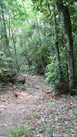 Wilson_Creek_Trail-001.jpg Photo Wilson_Creek_Trail-001.jpg Photo