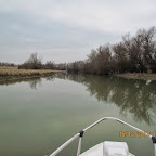 IMG_1537.JPG