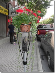 SDC12625 SDC12625