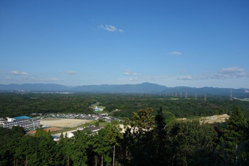 DSC00314 DSC00314
