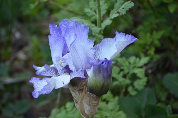 DSC_0007 DSC_0007