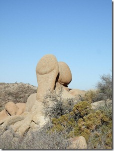 Joshua Tree National Park USA