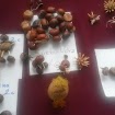 20141002_105756.jpg