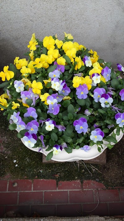 2014-05-01 08.18.55.jpg