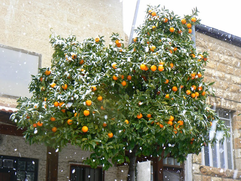 В Иерусалиме снег!!!!